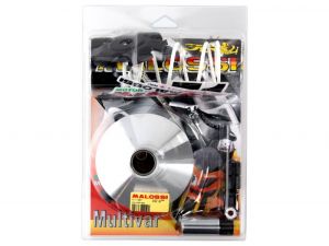 Variateur Malossi, Multivar 2000