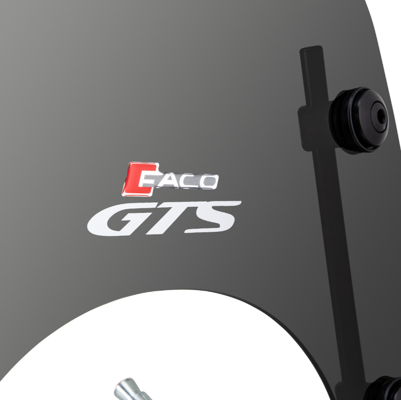 Pare-brise FACO pour Vespa GTS /GTS Super 125/300ccm (`23-), teinté