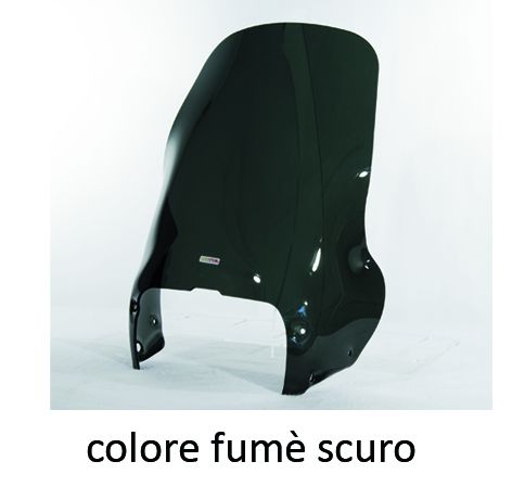 Pare-brise agrandi Air Flow type pour BMW R 1100 GS (94-99), clair