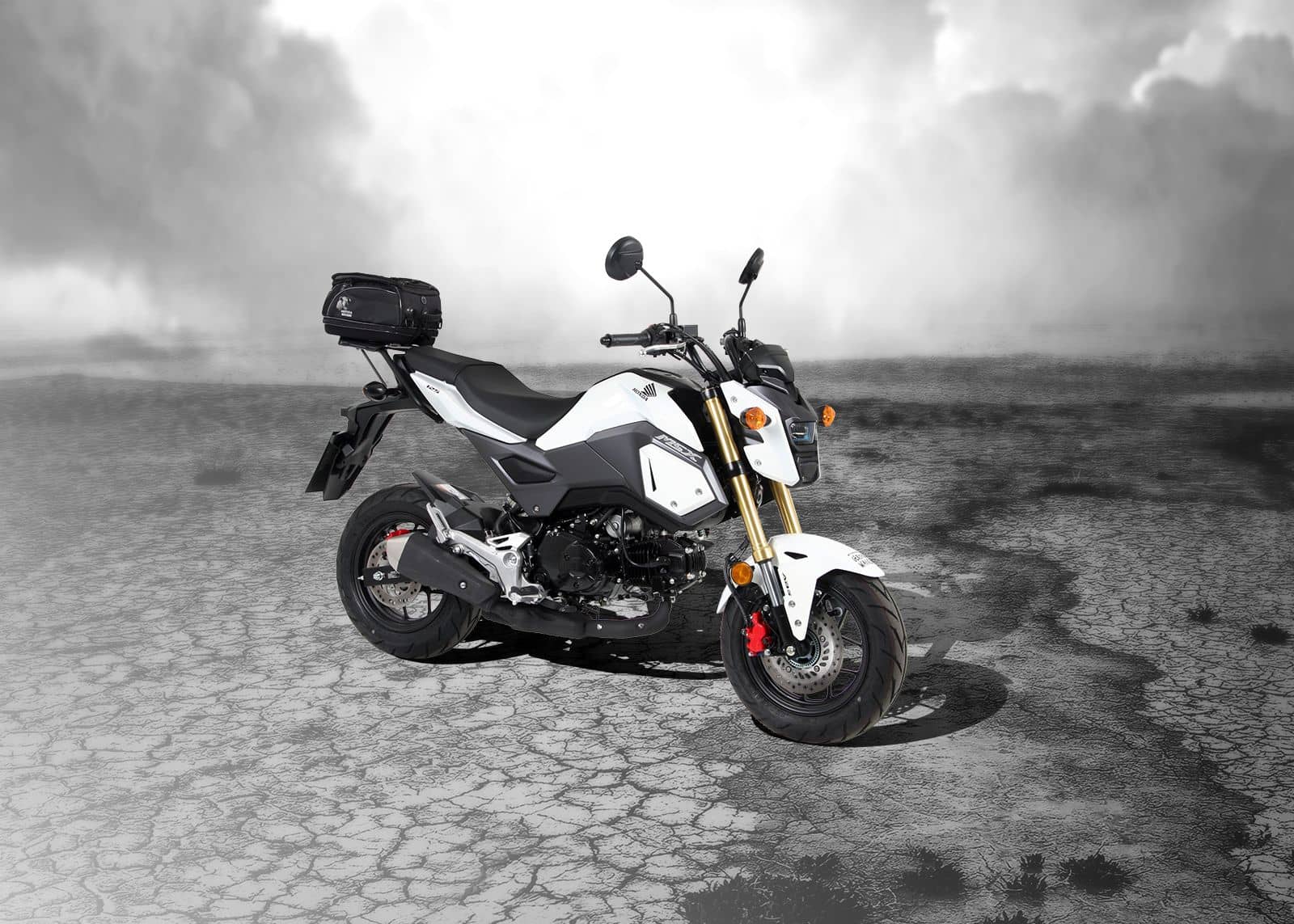 Porte-bagages arrière souple Minirack noir pour Honda MSX 125 /Grom (17-20) Hepco & Becker