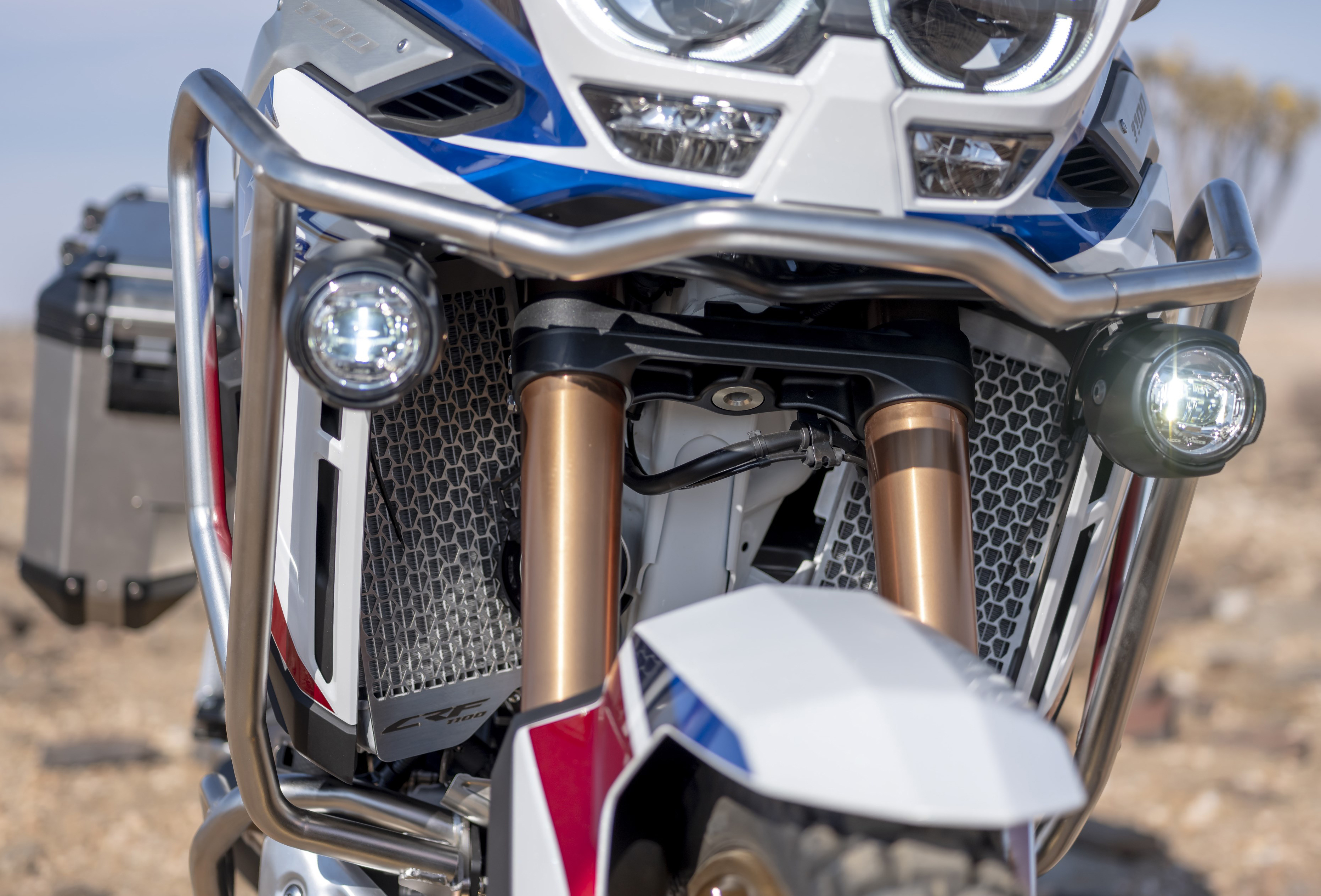 Grille de calandre en acier inoxydable pour Honda CRF1100L Africa Twin / Adventure Sports originale 2020-