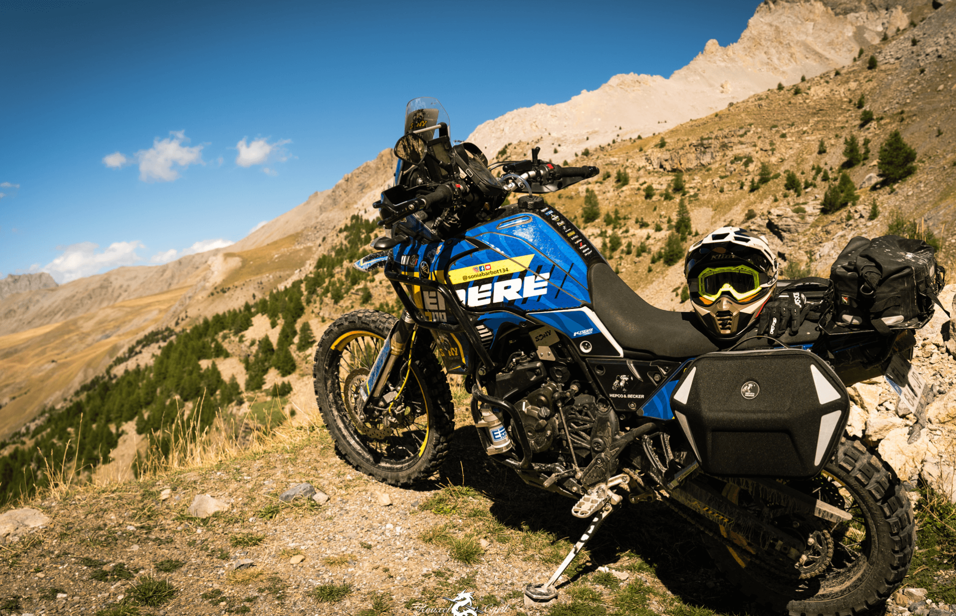 Juego de bolsas laterales Royster Hepco & Becker