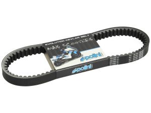 Courroie trapézoïdale Polini, Kevlar Belt, 814x22,5x10,5 mm 28