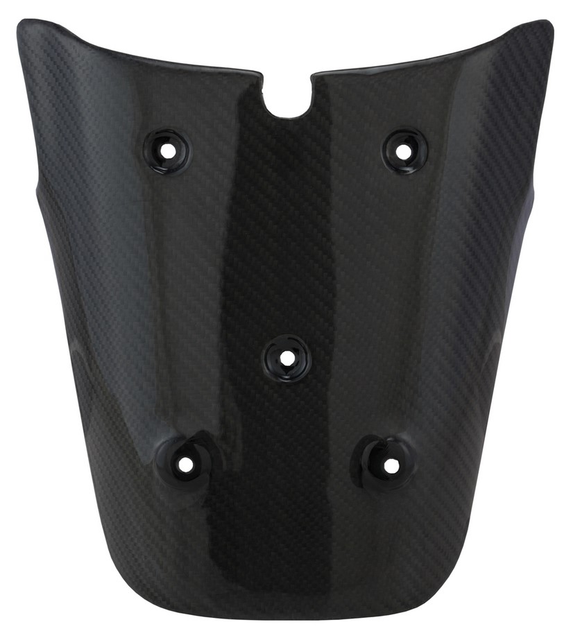 Support de plaque d'immatriculation arrière pour Vespa GTS/GTS Super/GTV 125-300ccm (-'13), carbone