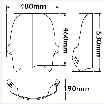 Pare-brise Adventure type pour BMW R 1150 GS (00-03), fumé clair