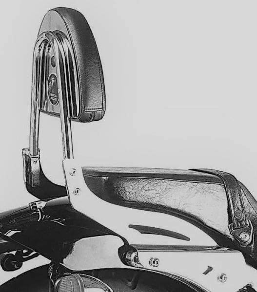 Sissybar sans porte-bagages chromé pour Honda VT 750 DC Black Widow (00-03) Hepco & Becker