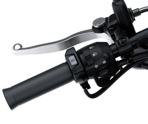 Poignées chauffantes pour Kawasaki W800 Street (19-) Original