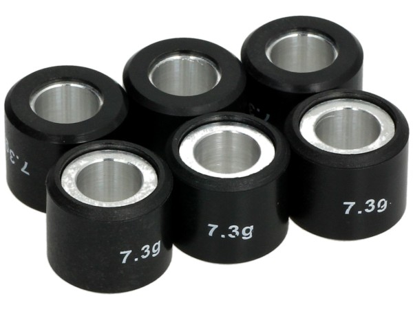 Sceed42 Jeu de galets de variateur, 19x17 mm, 7,3 g, pièces : 6