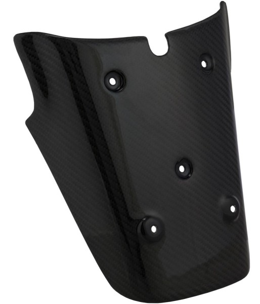 Support de plaque d'immatriculation arrière pour Vespa GTS/GTS Super/GTV 125-300ccm (-'13), carbone
