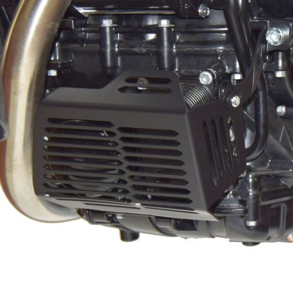 Protection de filtre à huile pour BMW F 700 GS (12-18), noir
